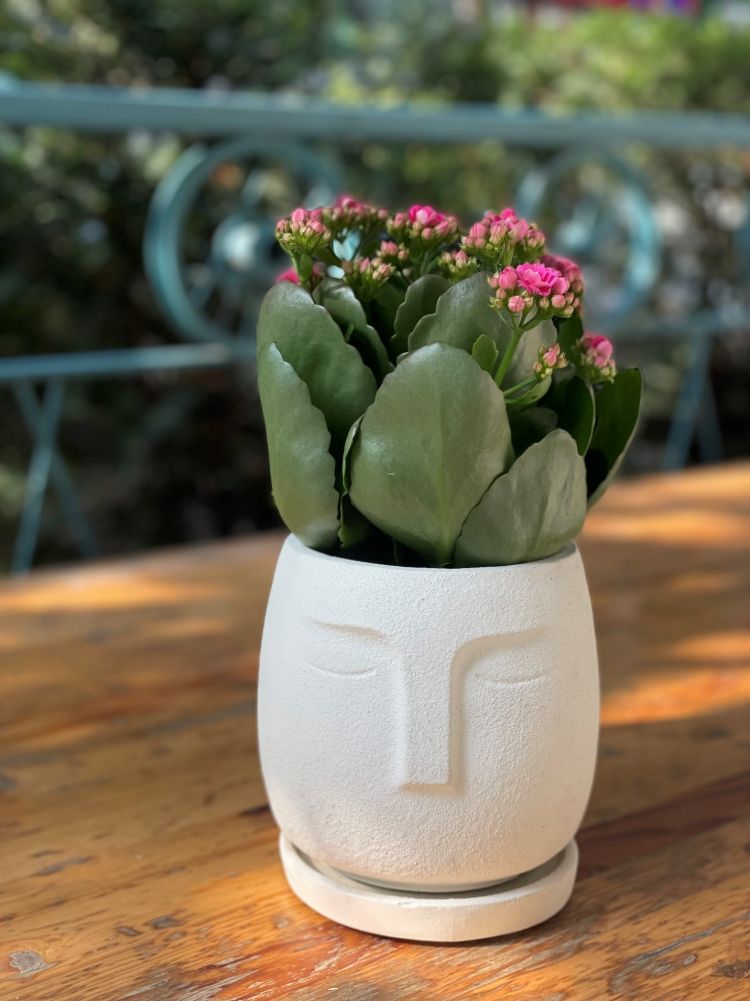 პლანშეტი Apple 10.2-inch iPad Wi-Fi 32GB - Silver - gray