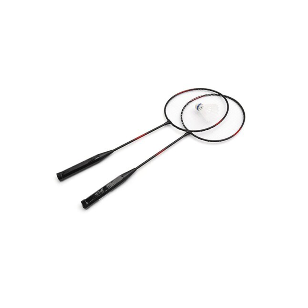 ბადმინტონი YLD 19 BADMINTON